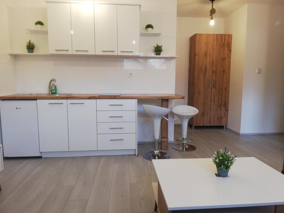 Apartments Naumovski Ohrid Kültér fotó